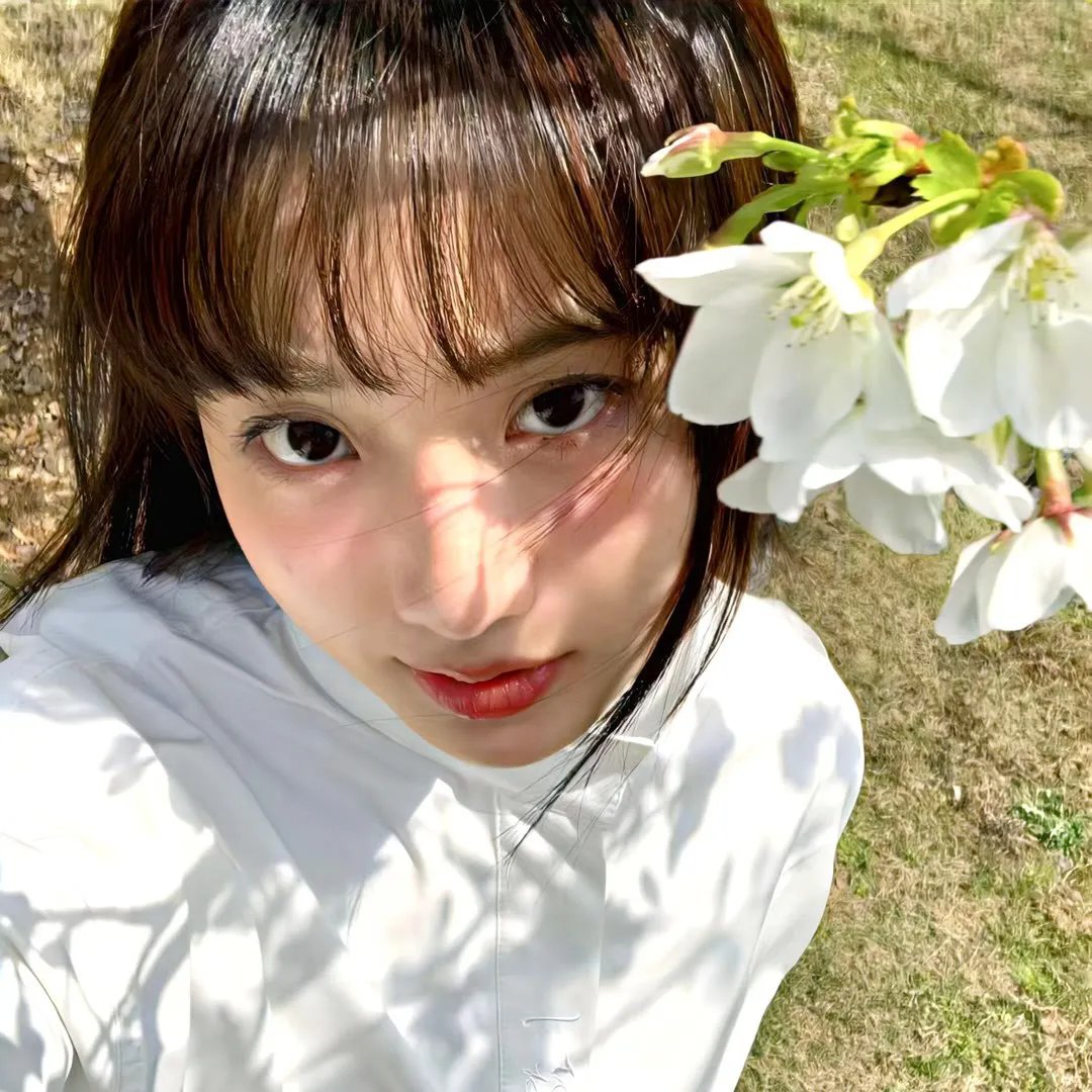 琼森帮归来